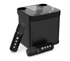 Cassa Bluetooth Portatile Karaoke 2 Microfoni Wireless USB