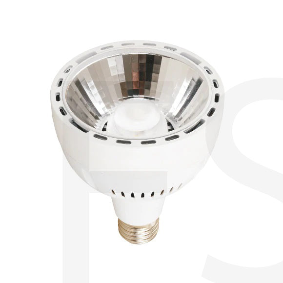 Lampadina Led 36W E27 P30