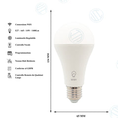 Lampadina Intelligente  Smart WiFi A65 14W